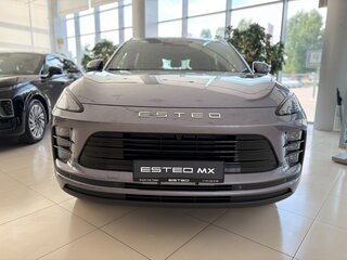 2026 Esteo MX, серый, 3990000 рублей, вид 1