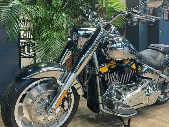 2025 Harley-Davidson Fat Boy, серебристый, 6000000 рублей - вид 8