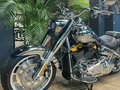 2025 Harley-Davidson Fat Boy, серебристый, 6000000 рублей - вид 8