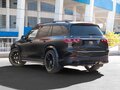 2024 Mercedes-Benz GLS 580 II (X167) Рестайлинг, чёрный, 15990000 рублей - вид 6