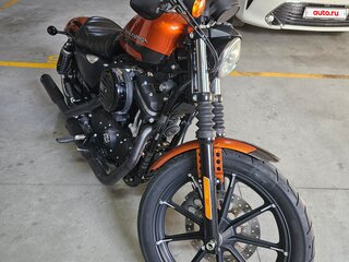 2019 Harley-Davidson Sportster 883, жёлтый, 890000 рублей, вид 2