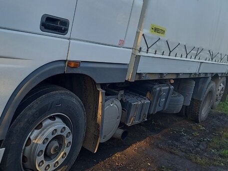 2000 DAF XF 95, белый, 2800000 рублей, вид 5