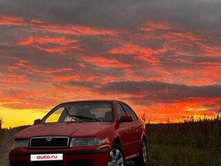 2008 Skoda Octavia I (A4) Рестайлинг, красный, 250000 рублей, вид 5