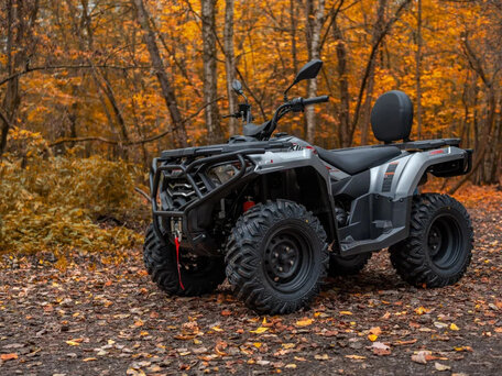 2026 Loncin XWolf 300, серый, 485000 рублей, вид 1