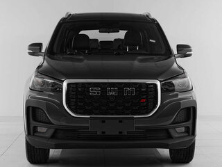 2025 SWM G05 Pro, серый, 1877000 рублей, вид 2