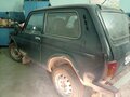 1996 Lada (ВАЗ) 2121 (4x4) I Рестайлинг, зелёный, 94000 рублей - вид 1