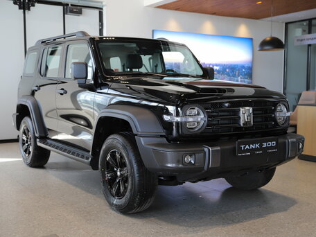 Tank 300 I