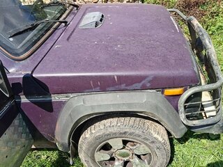 2003 Lada (ВАЗ) 2121 (4x4) I Рестайлинг, фиолетовый, 99000 рублей, вид 4