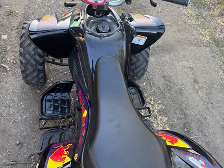 2025 Promax ATV 300, синий, 230000 рублей, вид 5