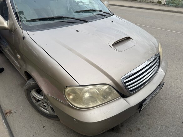 2004 Kia Carnival I Рестайлинг, бежевый, 490000 рублей - вид 7