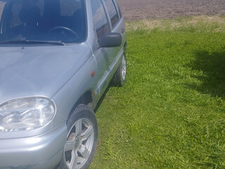 2008 Chevrolet Niva I, серебристый, 315000 рублей, вид 4