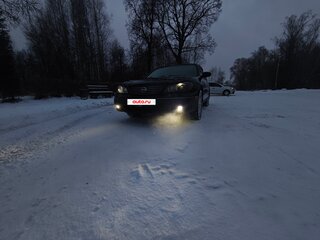 2005 Nissan Maxima V (A33), чёрный, 490000 рублей, вид 4