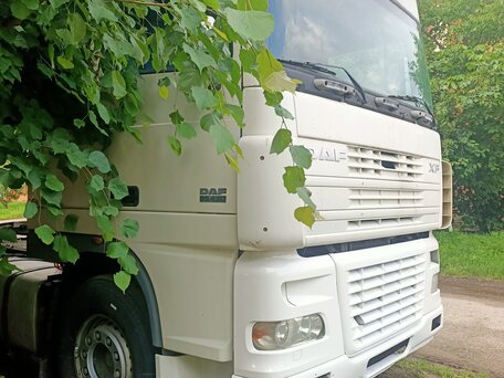2006 DAF XF 95, белый, 1350000 рублей, вид 1