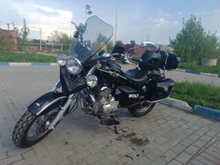 Motoland Wolf 250