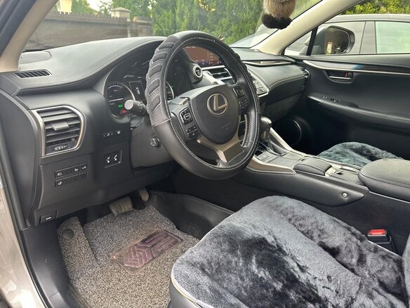 2019 Lexus NX 300h I Рестайлинг, серебристый, 3800000 рублей - вид 10