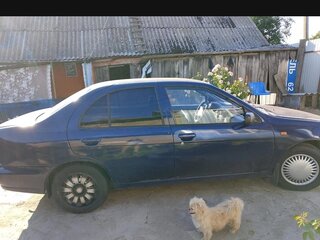 2000 Nissan Almera I (N15), синий, 150000 рублей, вид 5