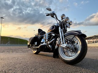 Harley-Davidson Springer Softail