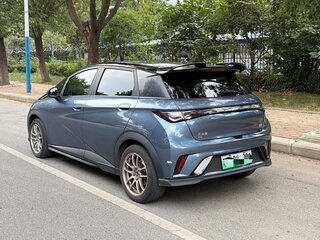 2024 BYD Dolphin 44.9 kWh I, синий, 1300000 рублей, вид 3