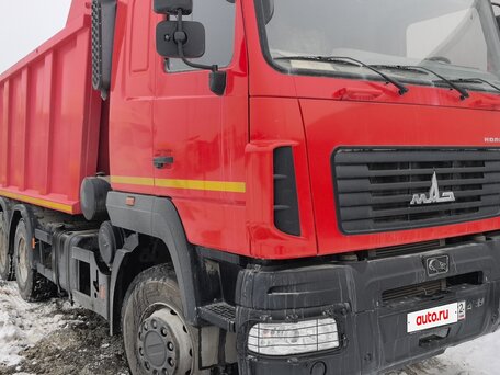 2023 МАЗ 6501, красный, 4036000 рублей, вид 1