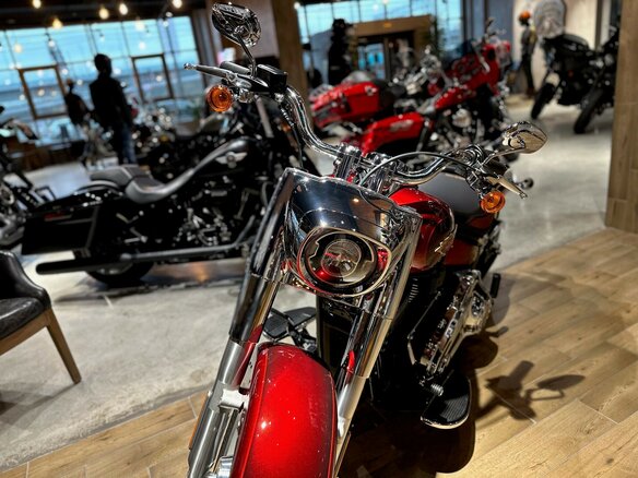 2023 Harley-Davidson Fat Boy, пурпурный, 3550000 рублей - вид 12