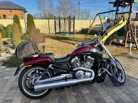 2015 Harley-Davidson V-Rod, пурпурный, 1800000 рублей, вид 4