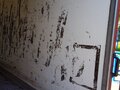 2006 ГАЗ ГАЗель (3302), красный, 230000 рублей - вид 11