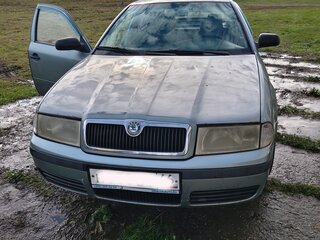 2003 Skoda Octavia I (A4) Рестайлинг, голубой, 200000 рублей, вид 1