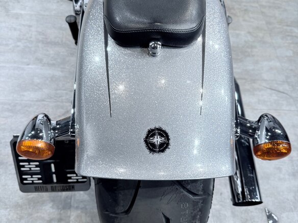 2015 Harley-Davidson Breakout, серебристый - вид 16