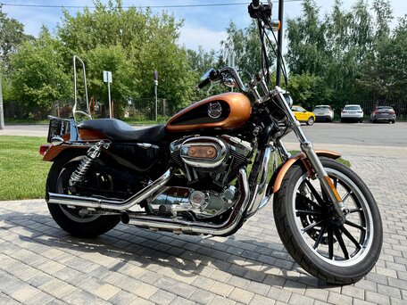2008 Harley-Davidson XL1200, золотистый, 620000 рублей, вид 5