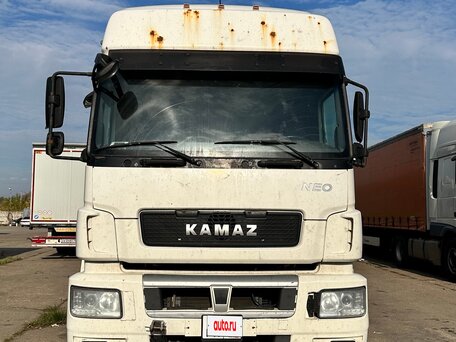 2019 КамАЗ 5490 NEO, белый, 1250000 рублей, вид 1