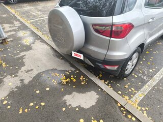 2014 Ford EcoSport II, серебристый, 695000 рублей, вид 5