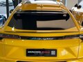 2023 Lamborghini Urus I, жёлтый, 28540000 рублей - вид 7