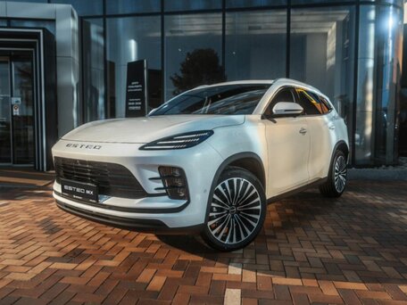 Esteo MX
