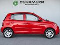 2009 Kia Picanto I Рестайлинг, красный, 460000 рублей - вид 5