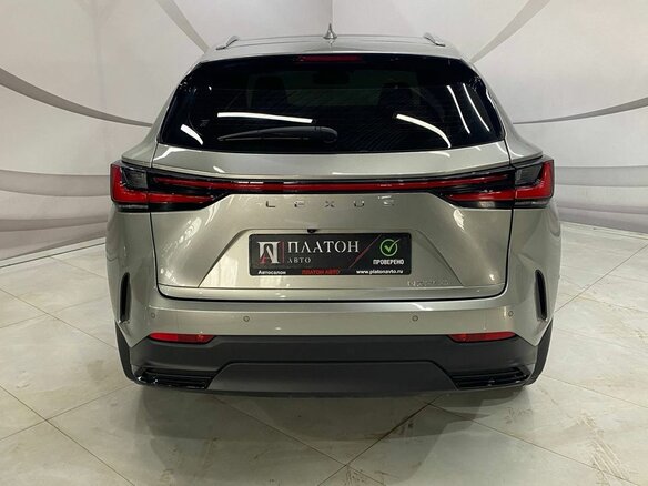 2022 Lexus NX 250 II, серый - вид 5