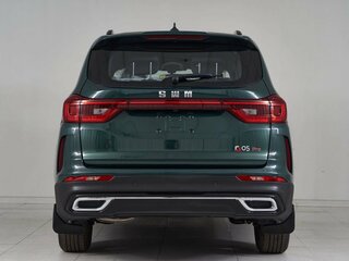 2024 SWM G05 Pro, зелёный, 1845000 рублей, вид 4