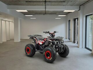2026 Motoland ATV 150 Wild, чёрный, 199900 рублей, вид 3