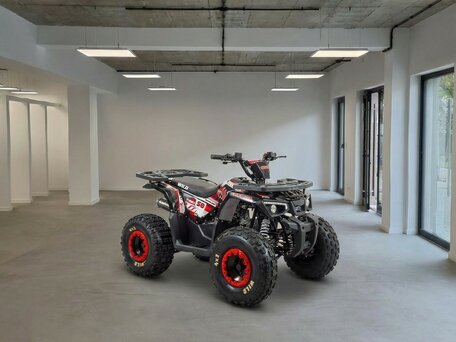 2026 Motoland ATV 150 Wild, чёрный, 199900 рублей, вид 3