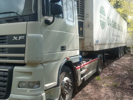 2003 DAF 95XF, серый, 1670000 рублей, вид 2