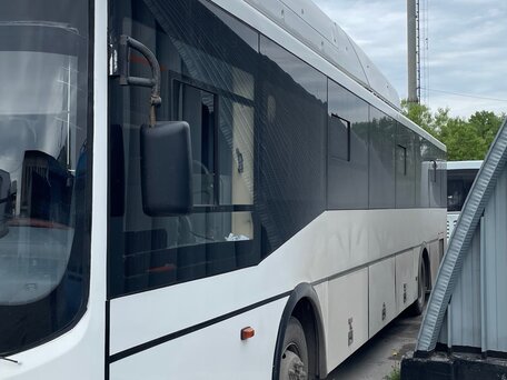 2019 Volgabus Серпантин G, белый, 2000000 рублей, вид 3
