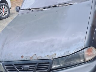 2005 Daewoo Nexia I, серый, 70000 рублей, вид 1