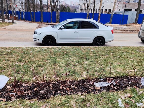 2015 Skoda Rapid I, белый, 950000 рублей - вид 15