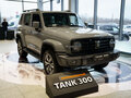 2025 Tank 300 I, серый, 4799000 рублей - вид 8