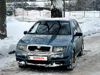 2007 Skoda Fabia I Рестайлинг, серый, 220000 рублей, вид 1