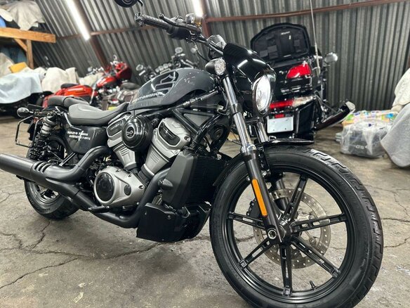 2023 Harley-Davidson Nightster, серый, 920000 рублей
