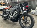 2023 Harley-Davidson Nightster, серый, 920000 рублей