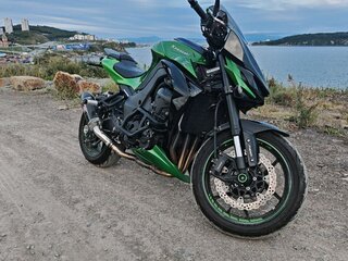 2018 Kawasaki Z 1000, зелёный, 1100000 рублей, вид 3