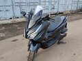 2024 Honda Forza, чёрный, 739000 рублей