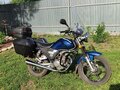 2024 Regulmoto SK200, синий, 125000 рублей - вид 1