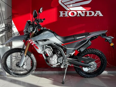 2025 Honda CRF 300L, серый, 891000 рублей, вид 2